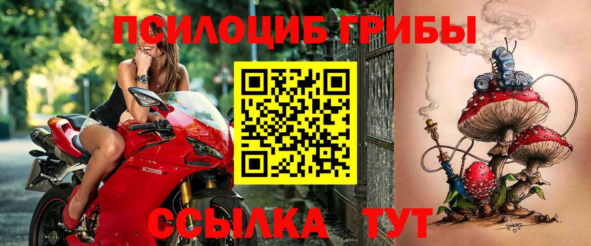 Псилоцибиновые грибы MAGIC MUSHROOMS  Вход с VPN  Карачаевск  Псилоцибиновые грибы прущие грибы 